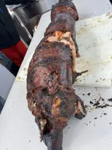 pig